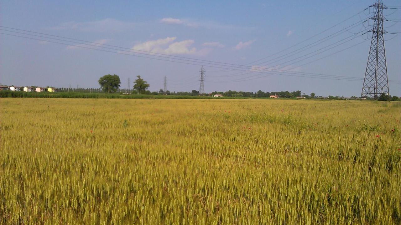 Corte Malpensata Bigarello ภายนอก รูปภาพ